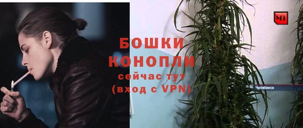 мдпв Новозыбков