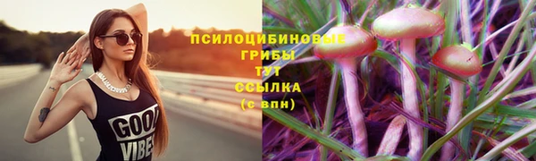 mdpv Новокубанск