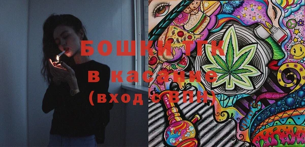 PSILOCYBIN Новодвинск