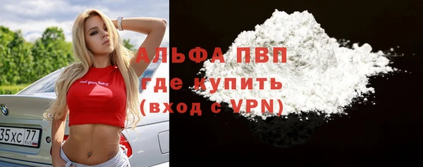мдпв Новозыбков