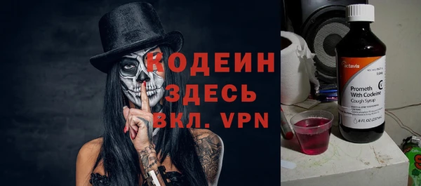 мдпв Новозыбков