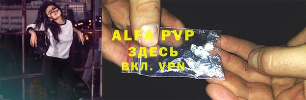 мдпв Новозыбков