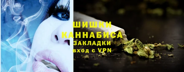 PSILOCYBIN Новодвинск