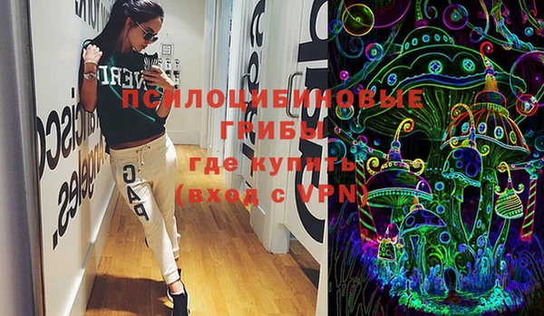 PSILOCYBIN Новодвинск