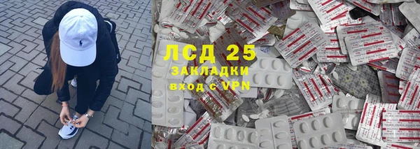 PSILOCYBIN Новодвинск
