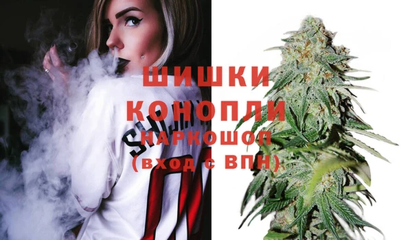 мдпв Новозыбков