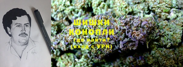 PSILOCYBIN Новодвинск