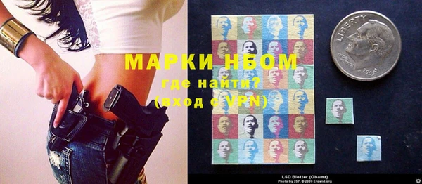хмурый Нея