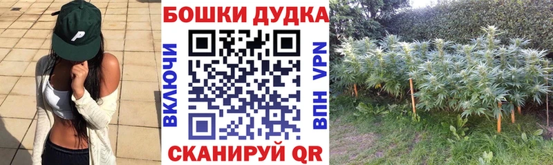 цены наркотик  Сысерть  Бошки марихуана Bruce Banner 